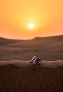 heat and car batteries