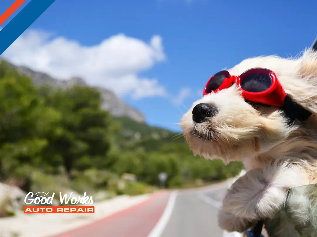 How to get road trip ready